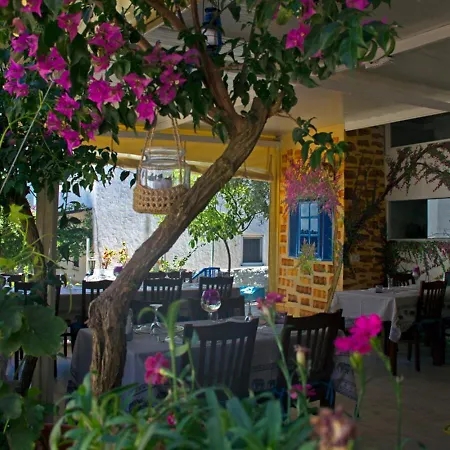 Umayra Bodrum