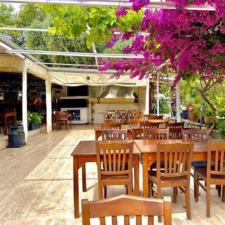 Umayra Bodrum